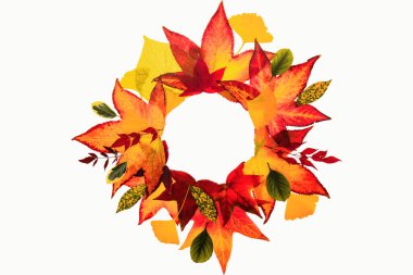 Autumn frame for design banners, leaflets, posters with space for your text. Fall leaf border, autumnal background. Autumn maple leaves isolated on white. Falling leaves natural background