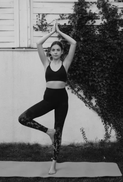 Yogi Woman Practicing Yoga Vrksasana Exercise Young Beautiful Woman Sports — ストック写真
