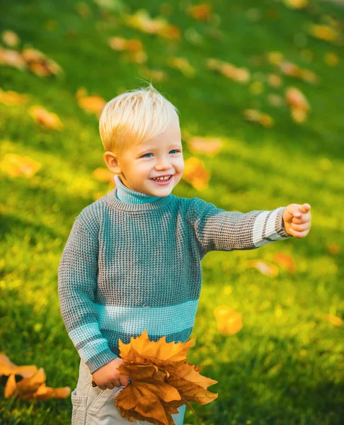 有秋天叶子的小男孩 可爱的孩子穿着温暖的夹克毛衣 背景是秋天的自然 快乐童年的概念 穿着温暖针织毛衣的孩子 — 图库照片