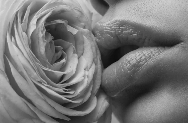 Zbliżenie Ust Piękne Usta Kobiety Różą — Zdjęcie stockowe