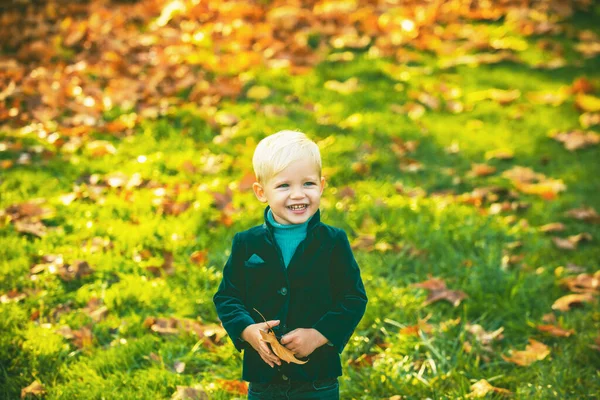 Jesienne Dzieci Portret Jesiennych Żółtych Liściach Małe Dziecko Żółtym Parku — Zdjęcie stockowe