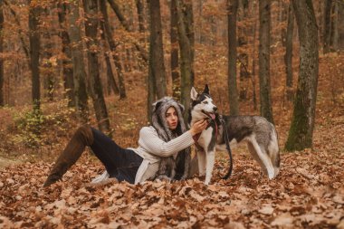 İyi giyimli, iri yarı, efendisiyle çok uyumlu görünüyor. En iyi arkadaşlar. Koşulsuz sevgi. Autumn Girl, Husky Dog 'la yürümekten zevk alıyor. Sonbahar, evcil hayvanınla yürümek için yılın en iyi zamanıdır.