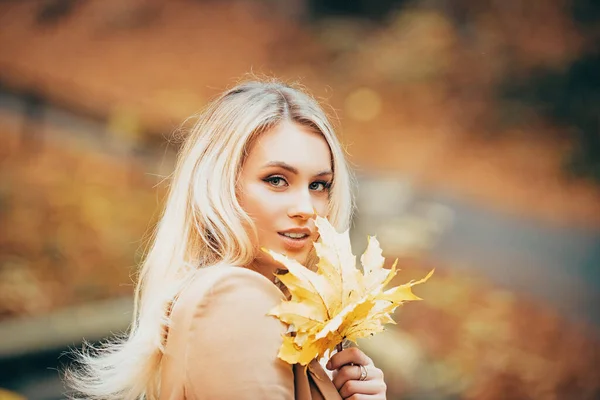 Beautiful Elegant Woman Autumn Leaf Park — Stock Photo, Image