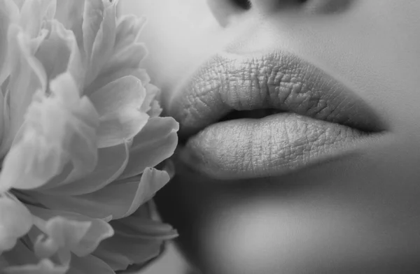 高級女性の唇を構成します 自然な唇 セクシーな女性の口 グラマーリップのコンセプト — ストック写真