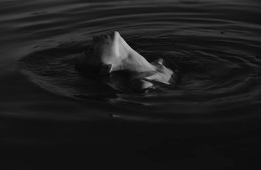 Suyun içinde poz veren seksi kadın. Yaz tatili ve seyahat konsepti. Yaz zamanı.