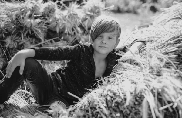 子供男の子は干し草をあります 帽子の少年は 秋の晴れた日に備えています かわいい男の子は 秋の販売の準備になっています ファームの幼年期 村の良い時間 収穫のコンセプト — ストック写真