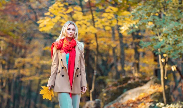自慰的趋势和舒适的女性寻找 迷人迷人的金发女人在秋天的森林里散步 穿着保暖外套和红色针织围巾的漂亮女人 — 图库照片