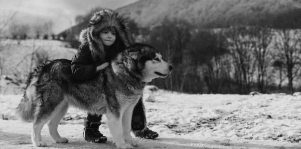Jongetje Met Husky Hond Het Sneeuwwoud Alaska Canada Sneeuwlandschap Winterkinderen — Stockfoto