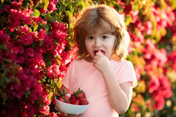 イチゴを食べる素敵な子供 興奮した子供は夏の屋外でイチゴを食べる — ストック写真