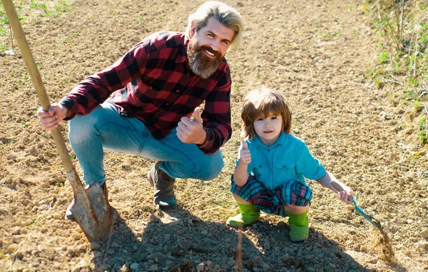 가족이 나무를 것처럼 아버지가 아들을 있어요 정원에서 정원을 가꾸는 아버지와아 — 스톡 사진