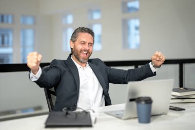 Dizüstü bilgisayarla çalışan 40 'lı yılların iş adamı heyecanlı. Gri saçlı heyecanlı iş adamı yönetmeni dizüstü bilgisayar kullanıyor. Ofis işyerindeki heyecanlı yönetici. Heyecanlı Ceo ofis çalışanları ofiste iş adamları