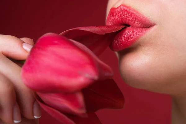 官能的な唇をポンプ チューリップの花の唇 官能的な女性の口 マクロリップ ピンクのバラの花で官能的な赤い唇を閉じます セクシーな口紅だ 官能的な口のマクロ 官能的なタッチ — ストック写真