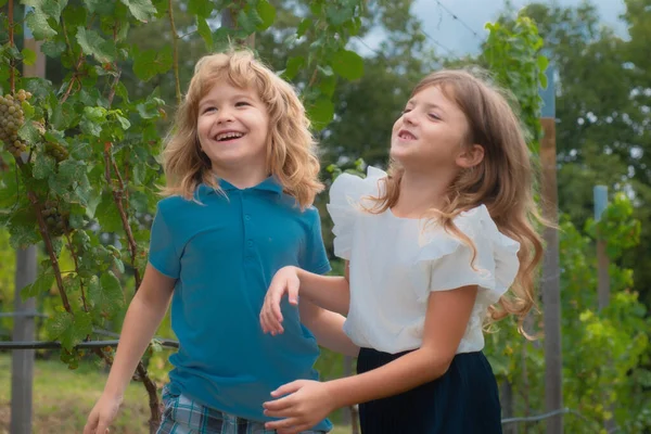 かわいい笑顔の子供たちが屋外で遊んで笑っている 夏の公園で2人の幸せな若い子供の肖像画 — ストック写真