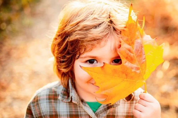 秋天的孩子 闭上你的脸快乐的小男孩走在秋天的公园里 美丽的孩子穿着温暖的夹克毛衣 背景是秋天的自然 — 图库照片