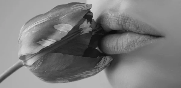 Lábios Femininos Com Batom Natural Boca Sensual Das Mulheres Lábio — Fotografia de Stock