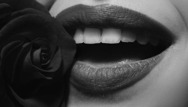 Gül dudaklı güzel kadın dudakları. Ağzını beyaz dişlerle aç. Kozmetoloji, eczane ya da moda makyaj konsepti. Güzellik stüdyosu çekimi. Tutkulu ağız.