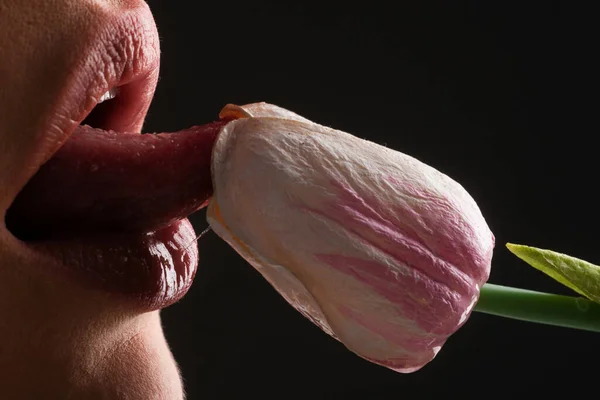 Sucer Lécher Embrasser Concept Des Lèvres Pleines Sexy Gloss Des — Photo