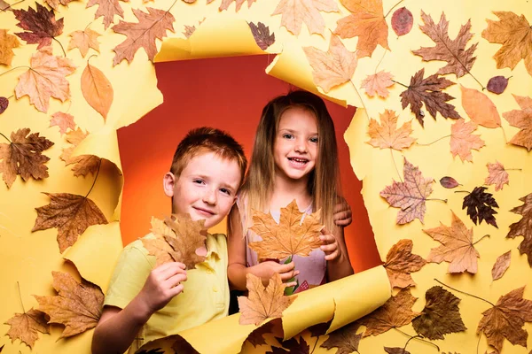 Παιδιά Διαφημίζουν Προϊόν Και Τις Υπηρεσίες Σας Φθινοπωρινή Διάθεση Και — Φωτογραφία Αρχείου