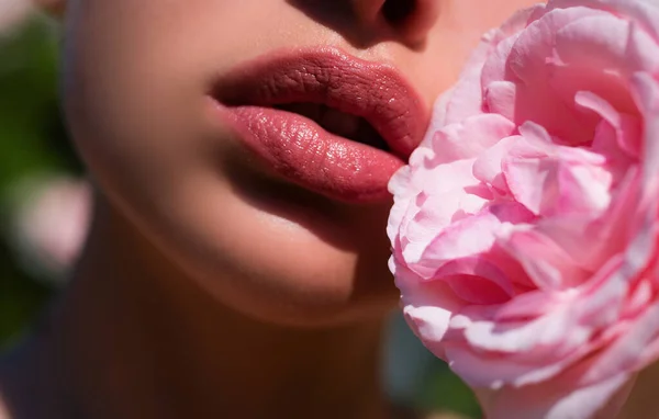Ніжна Рожева Троянда Догляд Цицьками Натуральний Макіяж Губ Ніжність Жіночих — стокове фото