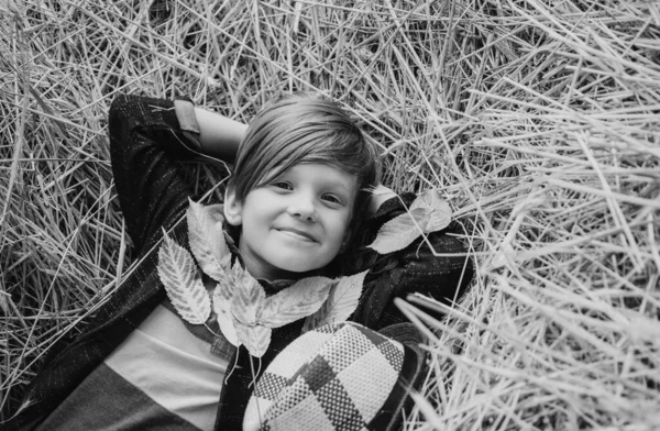 小さな男の子の葉で遊んで カメラを見てにこにこしています 子供男の子は干し草をあります かわいい子男の子ファーム村背景に金箔を押し — ストック写真