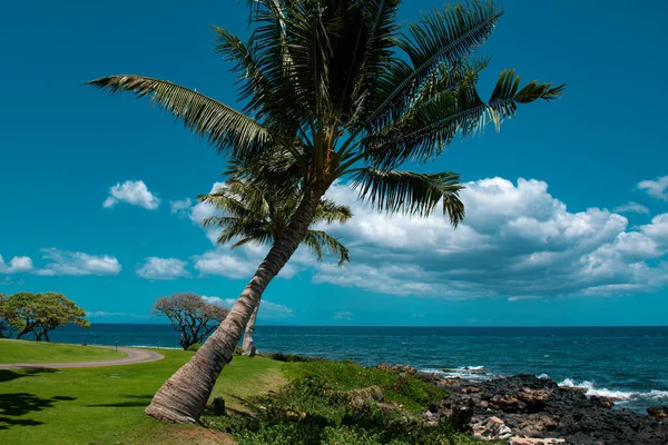 Красивый Пляж Пальмами Небом Концепция Летнего Отдыха Гавайский Райский Пляж — стоковое фото