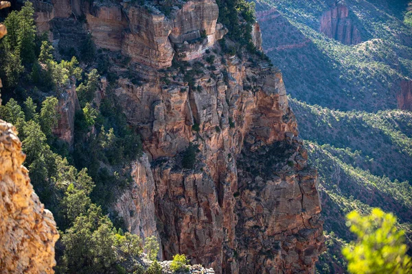 Landscape Canyon National Park Red Rocks Canyon Utah — Stock fotografie