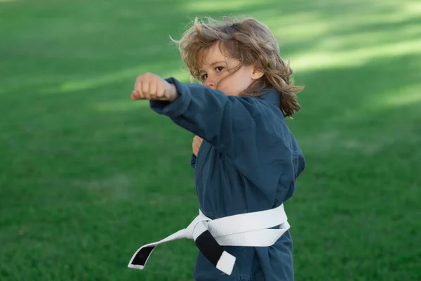 Chłopiec Ćwiczący Sztuki Walki Świeżym Powietrzu Sportowe Dzieciaki Karate Mały — Zdjęcie stockowe
