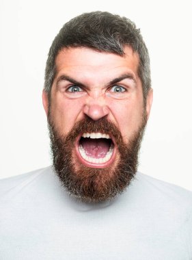 Sinirli sinirli adam. Stresli yüz ifadesi diye bağır. Saldırgan adam. Dalgın, yakışıklı, sakallı hippi. Erkek portresi acımasız görünüyor. Hayal kırıklığı ve tehlike