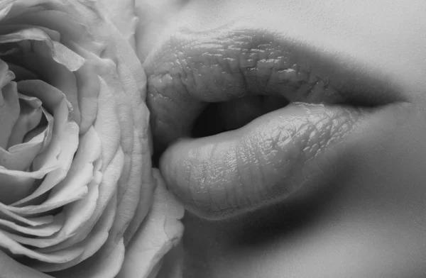 Φυσικά Χείλη Χείλη Κοντά Κραγιόν Όμορφο Γυναικείο Στόμα Τριαντάφυλλο — Φωτογραφία Αρχείου