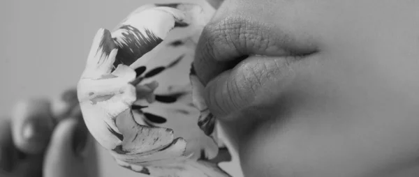 Sexy Pralle Lippen Großaufnahme Des Weiblichen Mundes Perfektes Natürliches Lippenmake — Stockfoto