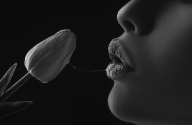 Oral sex concept. Blowjob and kiss. Sexy lips with tulip flower. Sexy female mouth and spring flower