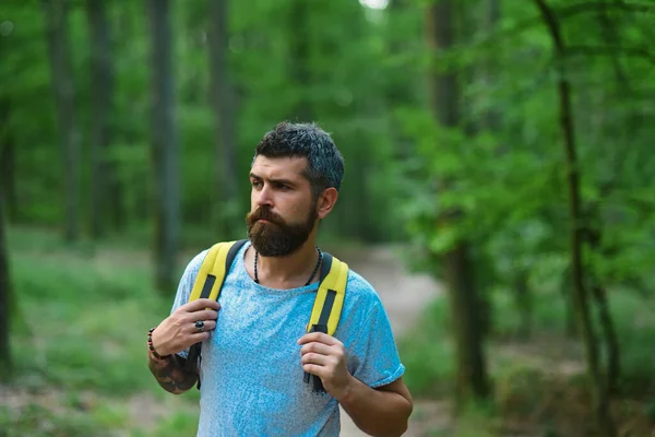 Active Healthy Man Hiking Beautiful Forest Young Man Walking Forest — Stock Photo, Image