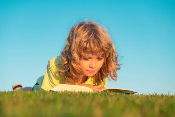 Парень Читал Книгу Парке Ребенок Читает Книгу Лежа Траве Фоне — стоковое фото