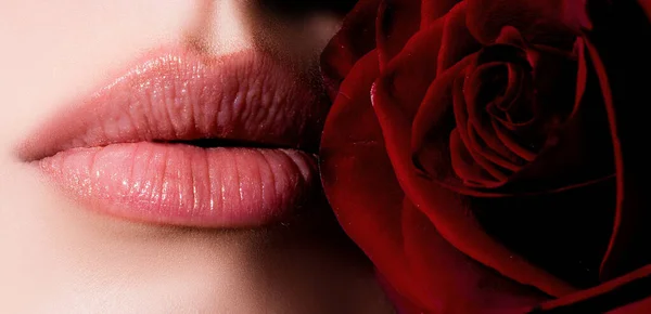 女性嘴与性感的粉红色唇与红玫瑰 孤立的特写 用红色口红捂住女人性感的嘴唇 充满激情的嘴唇 — 图库照片