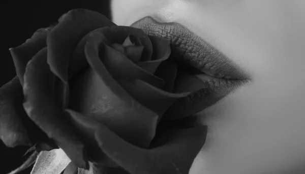 Zmysłowe Czerwone Usta Szminka Bliska Piękne Kobiece Usta Różą Piękne — Zdjęcie stockowe