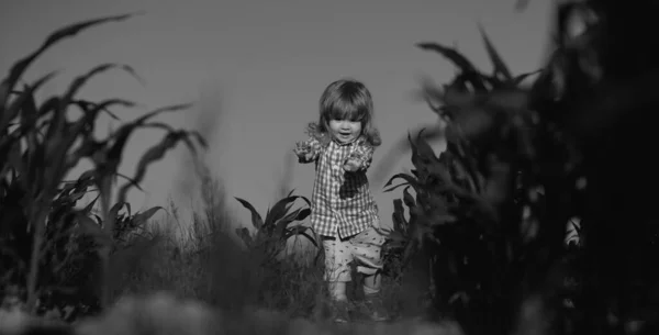 春の芝生の上で緑の芝生の赤ちゃん 公園を歩いている小さな子供たち バナー トウモロコシ畑で赤ちゃん 収穫の農業と園芸を楽しんでいる子供 — ストック写真