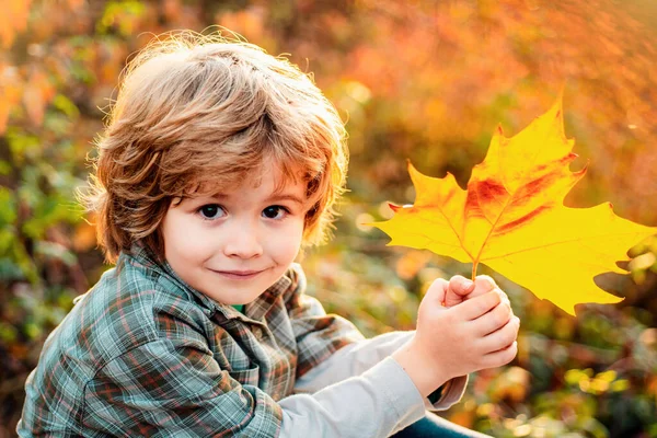 秋儿肖像画特写 快乐的孩子把秋天的叶子扔在外面笑 — 图库照片