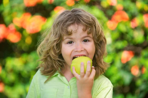 Pequena Criança Bonita Comendo Maçã Verde Retrato Criança Comendo Mordendo — Fotografia de Stock