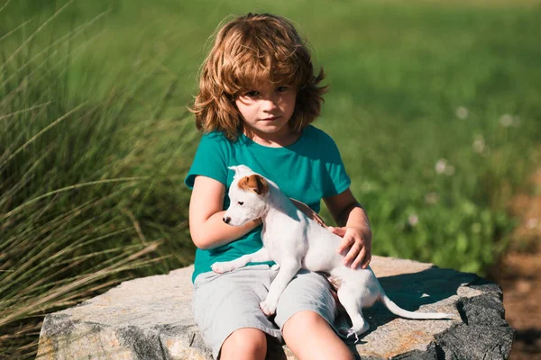 Cute Child Playing Chihuahua Mixed Dog Backyard Lawn — Stock Photo, Image