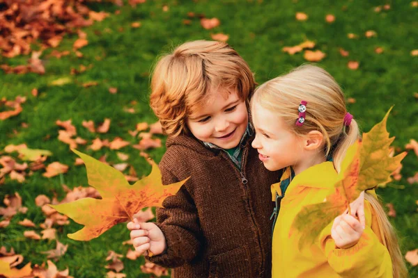 Sonbaharda Düşen Akçaağaç Yapraklı Arka Planda Güzel Bir Çift Çocuklar — Stok fotoğraf