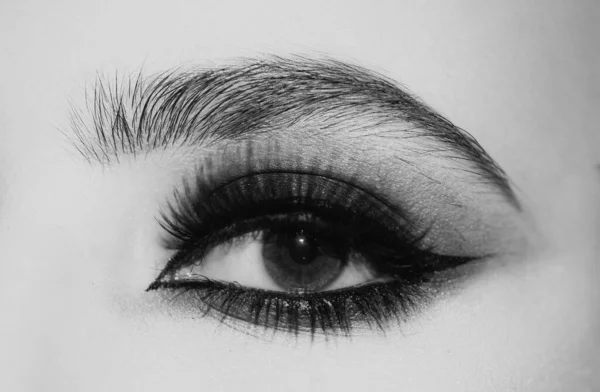 Maquilla Los Ojos Primer Plano Hermoso Ojo Femenino — Foto de Stock