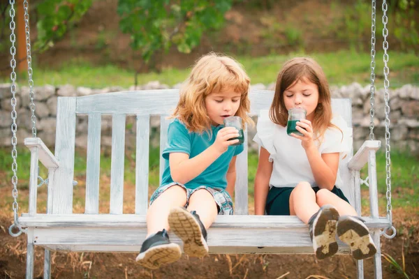 Brother Sister Drink Green Smoothie Little Boy Girl Working Garden — Stock Photo, Image