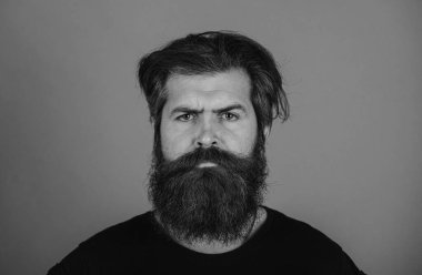 Kendine güvenen ciddi bir adamın portresi sakalı ve bıyığı var, ciddi ve izole görünüyor. Uzun sakallı ve bıyıklı hippi. Sakallı adam. Yakışıklı erkek model, yakın çekim yüzü.