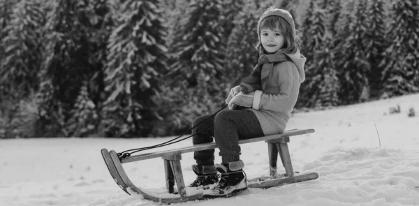 Zabawny Chłopiec Bawiący Się Saniami Lesie Zimowym Cute Dzieci Sanki — Zdjęcie stockowe
