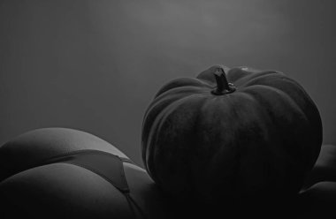Pumpkins on sexy ass. Female sensual ass with red panties and pumpkin. Womens clothing store for celebrates Halloween. Sex shop and Hellowen sale. Pumpkin on ass. Halloween sexy concept