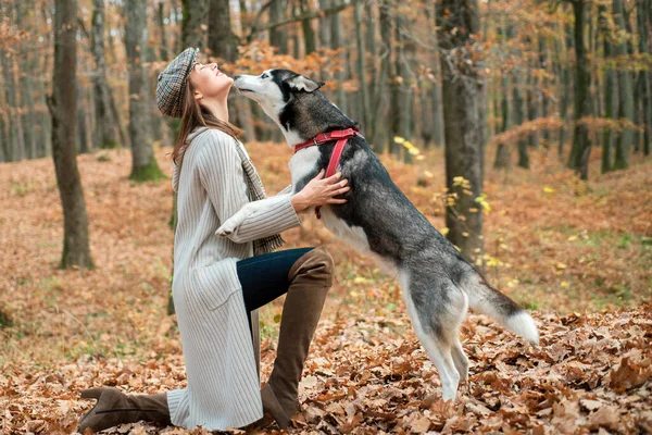 Schöne Junge Frau Mit Hut Und Pullover Küsst Ihren Hund — Stockfoto