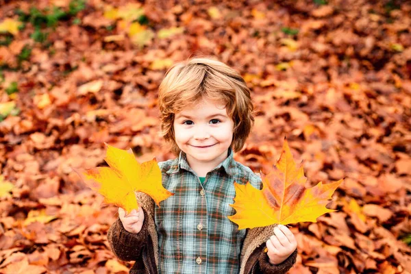 Φθινόπωρο Υπαίθριο Πορτρέτο Του Χαριτωμένο Χαρούμενο Παιδί Αγόρι Πόδια Στο — Φωτογραφία Αρχείου