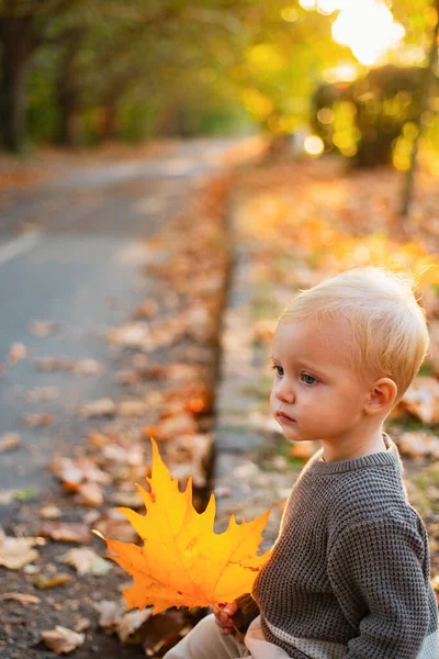 温暖和舒适 快乐的童年甜蜜的童年回忆儿童秋叶背景 秋天温暖的时刻 小男孩的蓝眼睛喜欢秋天 秋天阳光明媚的日子里 幼儿蹒跚学步 — 图库照片