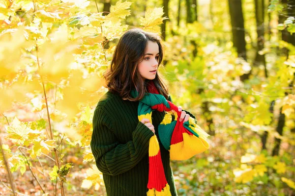 정상적 가을에 야외를 아름다운 소녀의 — 스톡 사진