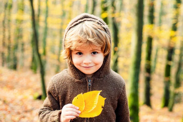 Dziecko Swetrze Jesiennej Naturze Ciepła Słoneczna Pogoda Jesiennym Tle — Zdjęcie stockowe